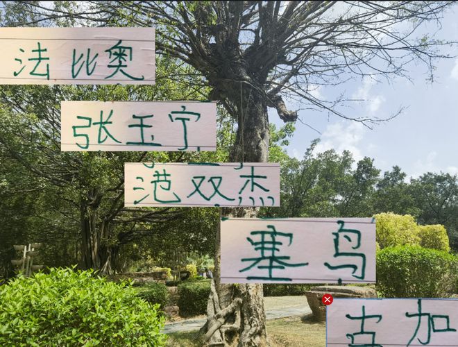 2025赛季4月北京国安表现最佳球员候选，法比奥概率最大？