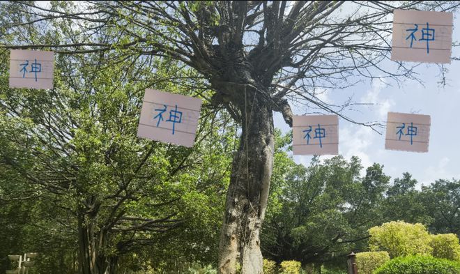 中超赛场斯卢茨基神奇换人，5球员进球助申花等队获佳绩